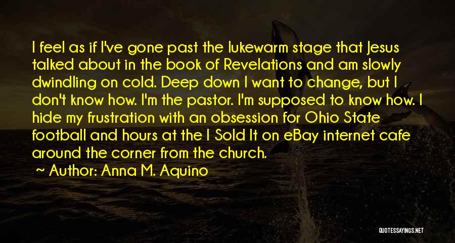 Anna M. Aquino Quotes: I Feel As If I've Gone Past The Lukewarm Stage That Jesus Talked About In The Book Of Revelations And