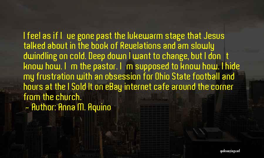 Anna M. Aquino Quotes: I Feel As If I've Gone Past The Lukewarm Stage That Jesus Talked About In The Book Of Revelations And