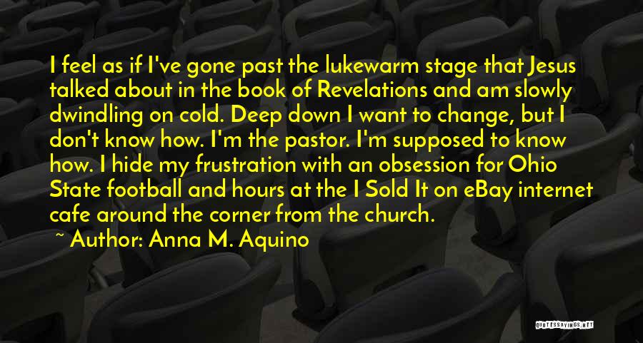 Anna M. Aquino Quotes: I Feel As If I've Gone Past The Lukewarm Stage That Jesus Talked About In The Book Of Revelations And