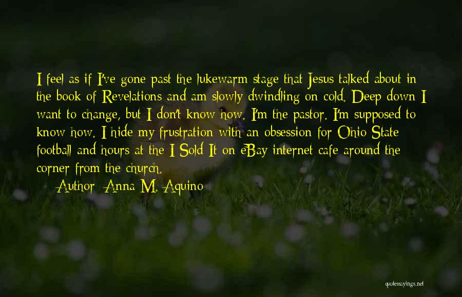 Anna M. Aquino Quotes: I Feel As If I've Gone Past The Lukewarm Stage That Jesus Talked About In The Book Of Revelations And