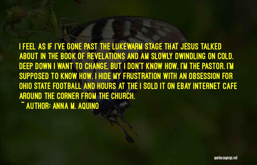 Anna M. Aquino Quotes: I Feel As If I've Gone Past The Lukewarm Stage That Jesus Talked About In The Book Of Revelations And