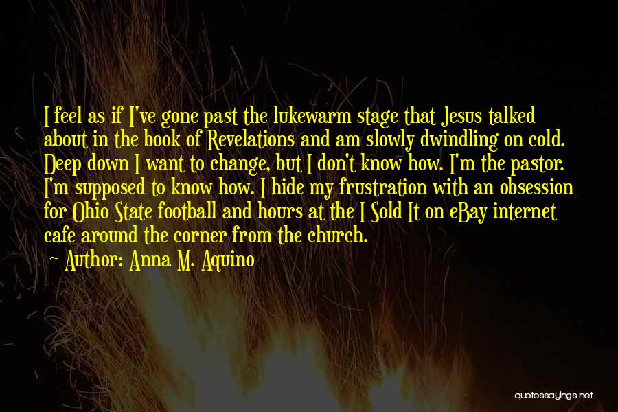 Anna M. Aquino Quotes: I Feel As If I've Gone Past The Lukewarm Stage That Jesus Talked About In The Book Of Revelations And