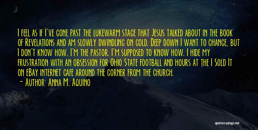 Anna M. Aquino Quotes: I Feel As If I've Gone Past The Lukewarm Stage That Jesus Talked About In The Book Of Revelations And