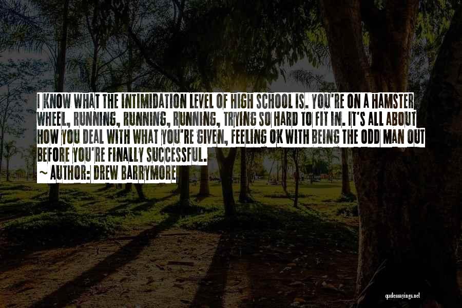 Drew Barrymore Quotes: I Know What The Intimidation Level Of High School Is. You're On A Hamster Wheel, Running, Running, Running, Trying So