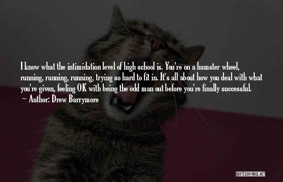 Drew Barrymore Quotes: I Know What The Intimidation Level Of High School Is. You're On A Hamster Wheel, Running, Running, Running, Trying So