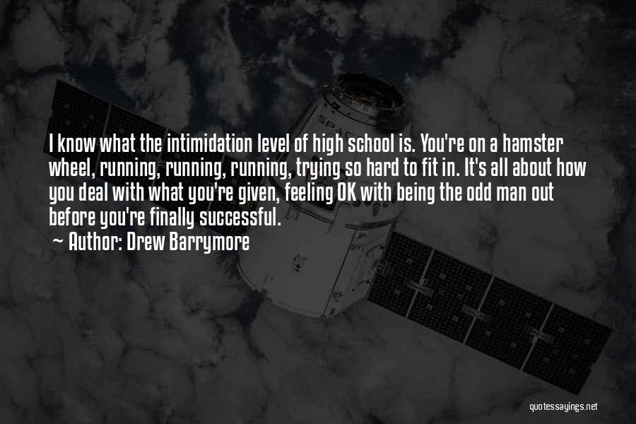 Drew Barrymore Quotes: I Know What The Intimidation Level Of High School Is. You're On A Hamster Wheel, Running, Running, Running, Trying So