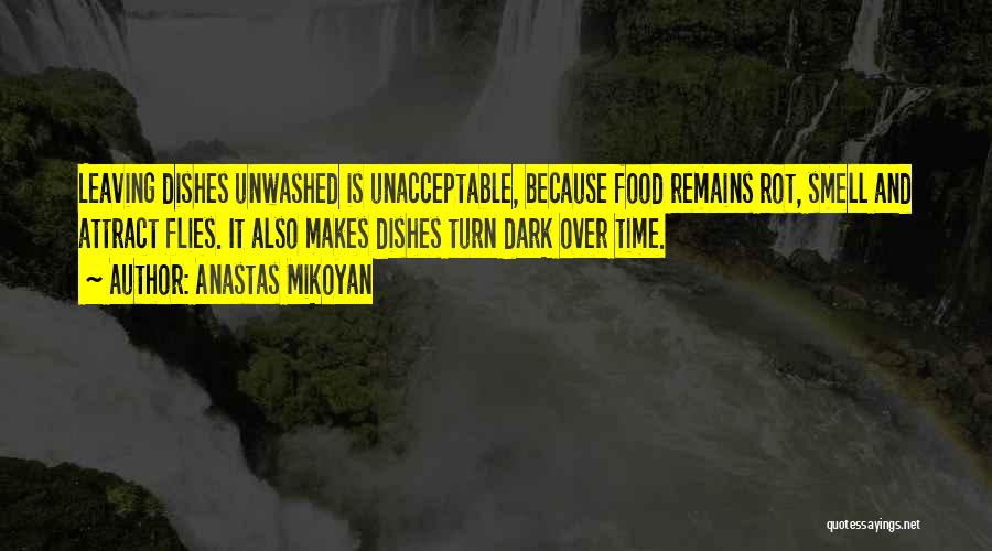 Anastas Mikoyan Quotes: Leaving Dishes Unwashed Is Unacceptable, Because Food Remains Rot, Smell And Attract Flies. It Also Makes Dishes Turn Dark Over