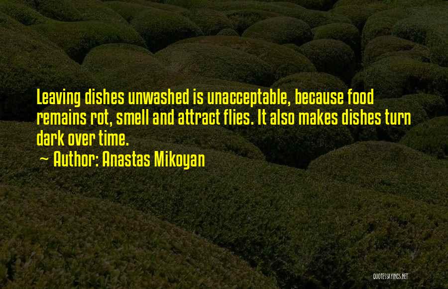 Anastas Mikoyan Quotes: Leaving Dishes Unwashed Is Unacceptable, Because Food Remains Rot, Smell And Attract Flies. It Also Makes Dishes Turn Dark Over