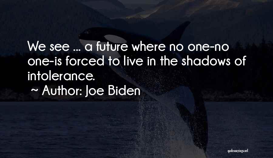 Joe Biden Quotes: We See ... A Future Where No One-no One-is Forced To Live In The Shadows Of Intolerance.