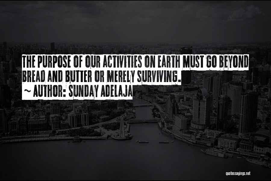 Sunday Adelaja Quotes: The Purpose Of Our Activities On Earth Must Go Beyond Bread And Butter Or Merely Surviving.