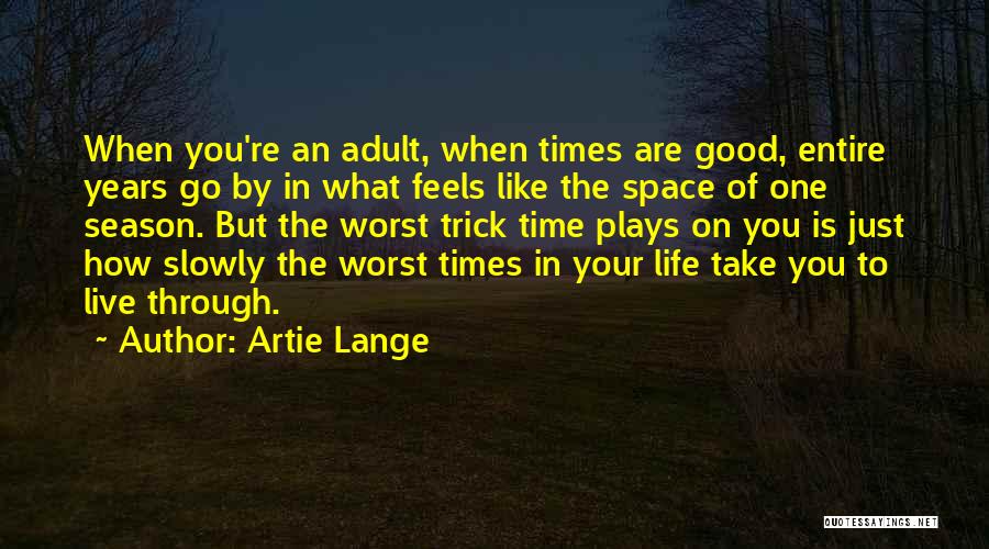 Artie Lange Quotes: When You're An Adult, When Times Are Good, Entire Years Go By In What Feels Like The Space Of One