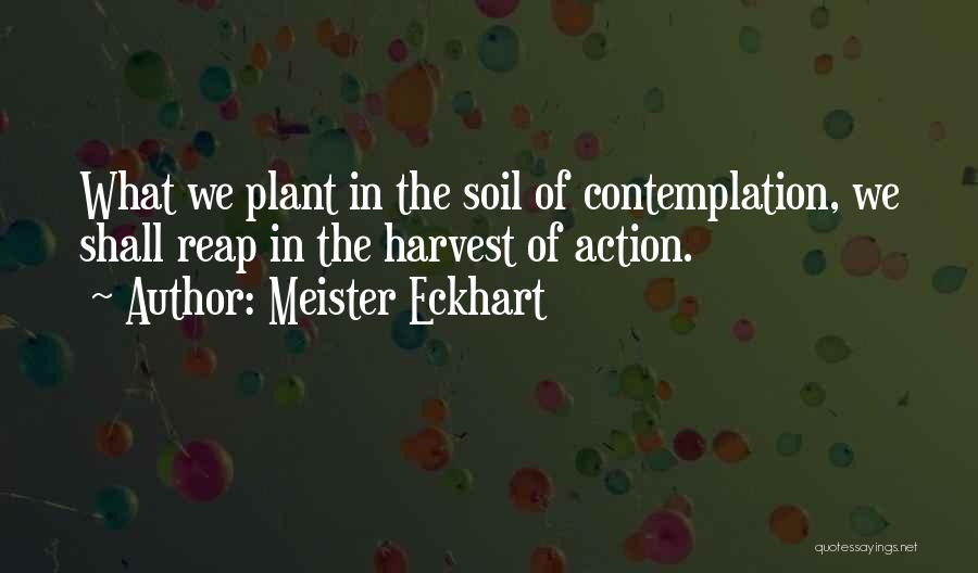 Meister Eckhart Quotes: What We Plant In The Soil Of Contemplation, We Shall Reap In The Harvest Of Action.