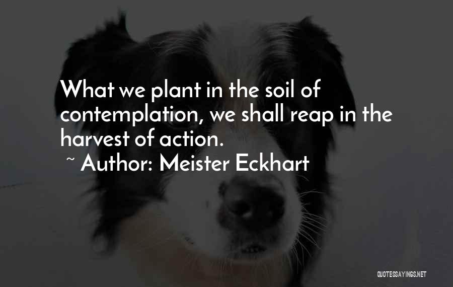 Meister Eckhart Quotes: What We Plant In The Soil Of Contemplation, We Shall Reap In The Harvest Of Action.