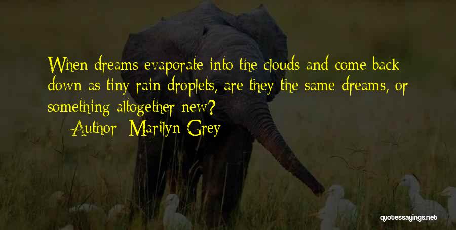 Marilyn Grey Quotes: When Dreams Evaporate Into The Clouds And Come Back Down As Tiny Rain Droplets, Are They The Same Dreams, Or