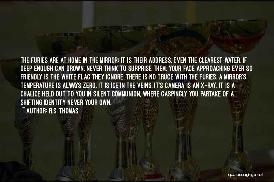 R.S. Thomas Quotes: The Furies Are At Home In The Mirror; It Is Their Address. Even The Clearest Water, If Deep Enough Can