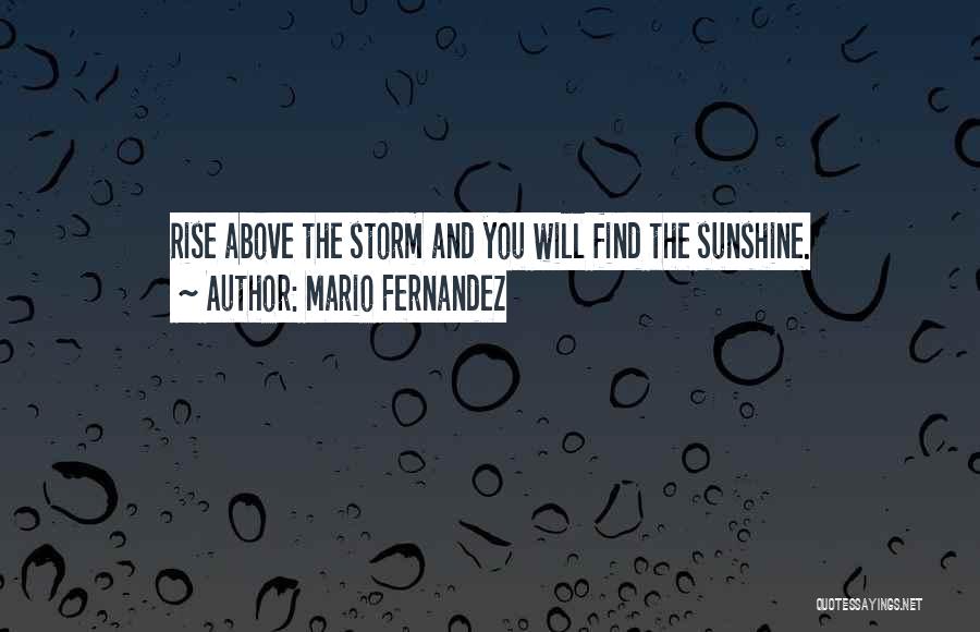 Mario Fernandez Quotes: Rise Above The Storm And You Will Find The Sunshine.