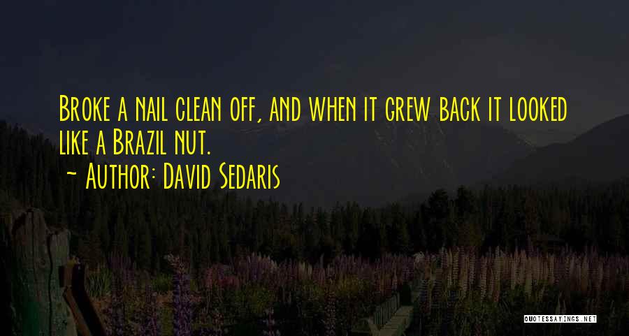 David Sedaris Quotes: Broke A Nail Clean Off, And When It Grew Back It Looked Like A Brazil Nut.