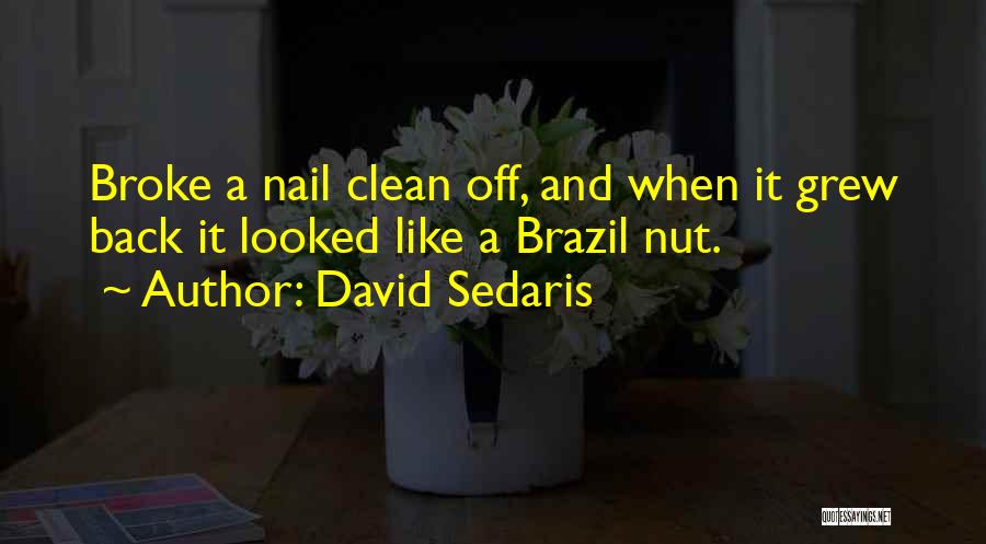 David Sedaris Quotes: Broke A Nail Clean Off, And When It Grew Back It Looked Like A Brazil Nut.