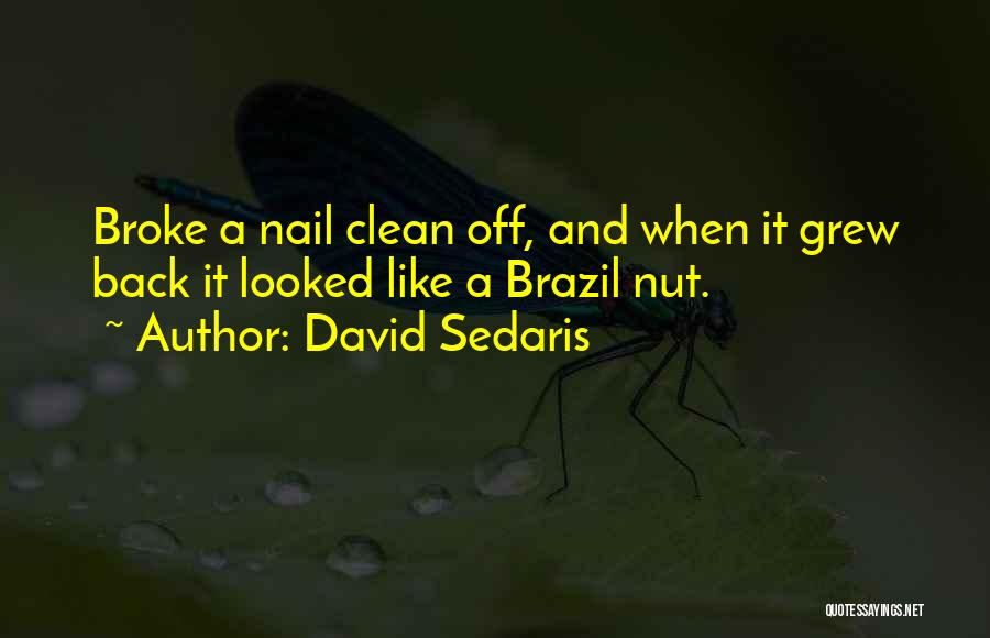 David Sedaris Quotes: Broke A Nail Clean Off, And When It Grew Back It Looked Like A Brazil Nut.