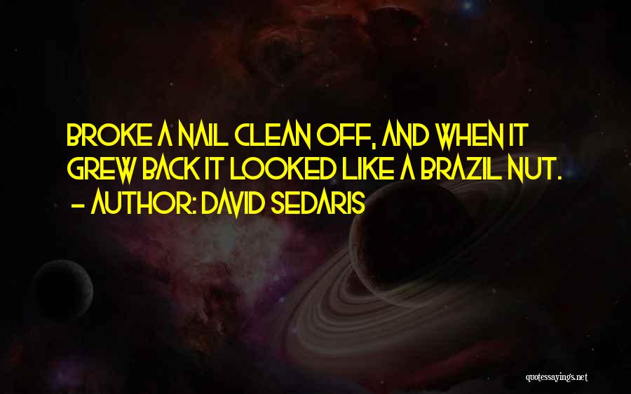 David Sedaris Quotes: Broke A Nail Clean Off, And When It Grew Back It Looked Like A Brazil Nut.