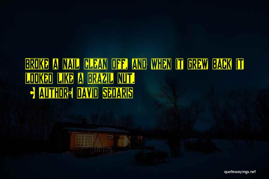 David Sedaris Quotes: Broke A Nail Clean Off, And When It Grew Back It Looked Like A Brazil Nut.