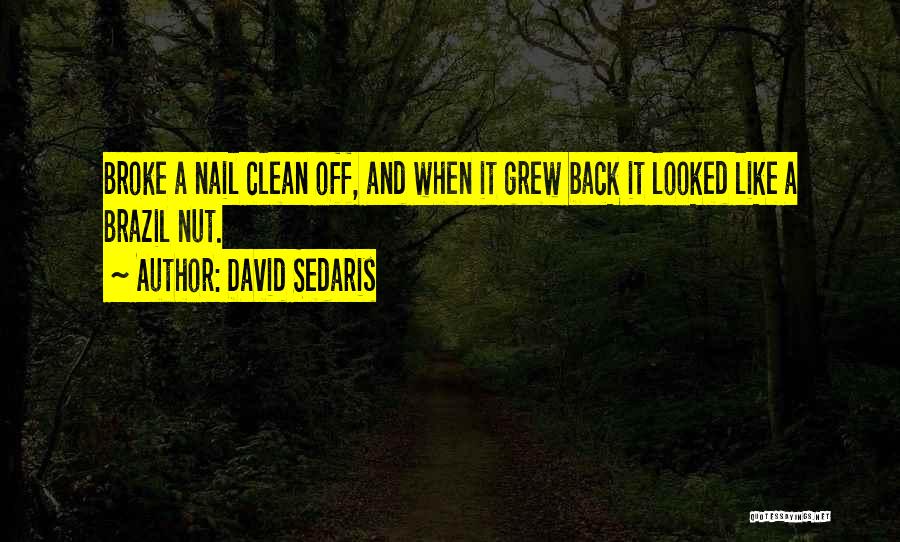 David Sedaris Quotes: Broke A Nail Clean Off, And When It Grew Back It Looked Like A Brazil Nut.