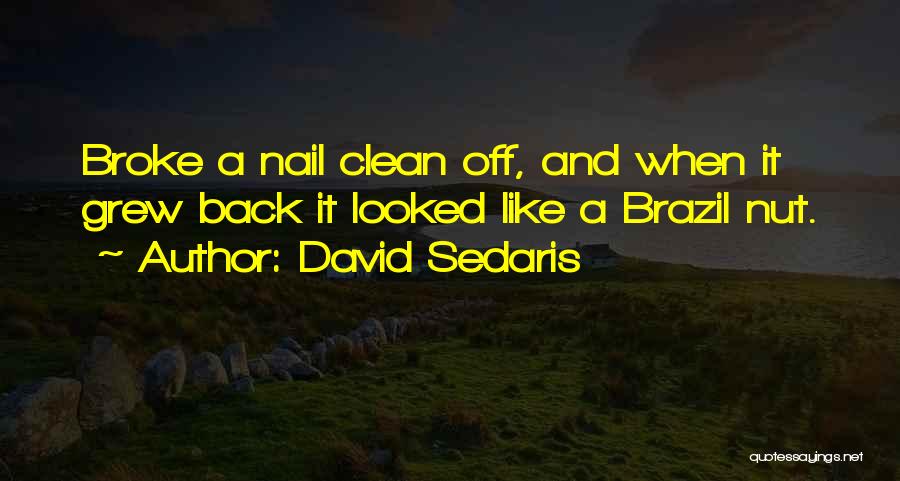 David Sedaris Quotes: Broke A Nail Clean Off, And When It Grew Back It Looked Like A Brazil Nut.