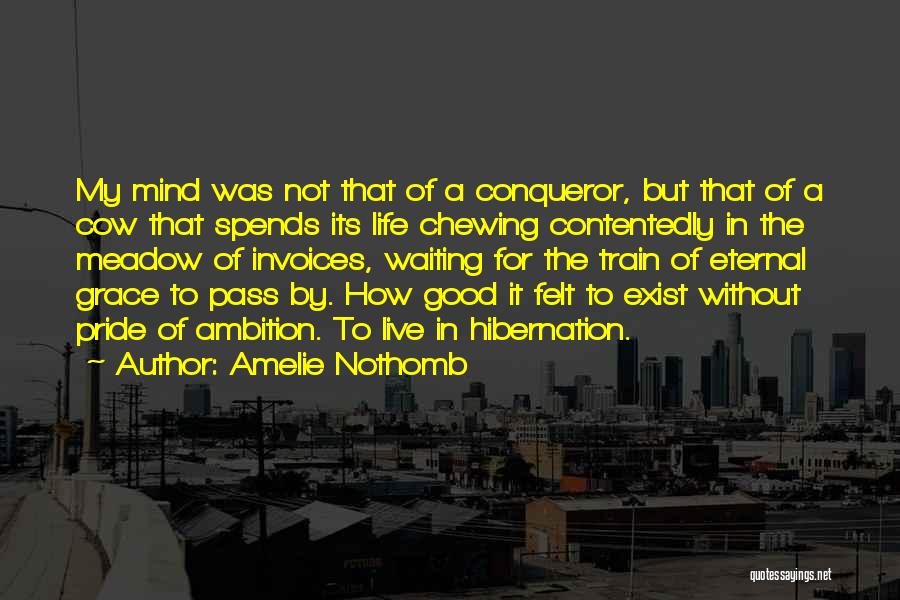 Amelie Nothomb Quotes: My Mind Was Not That Of A Conqueror, But That Of A Cow That Spends Its Life Chewing Contentedly In