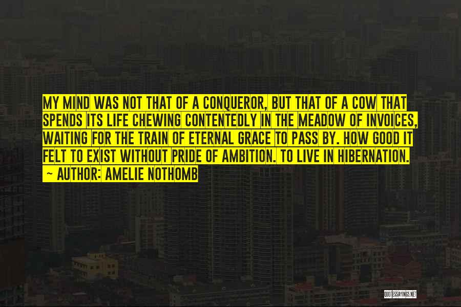 Amelie Nothomb Quotes: My Mind Was Not That Of A Conqueror, But That Of A Cow That Spends Its Life Chewing Contentedly In