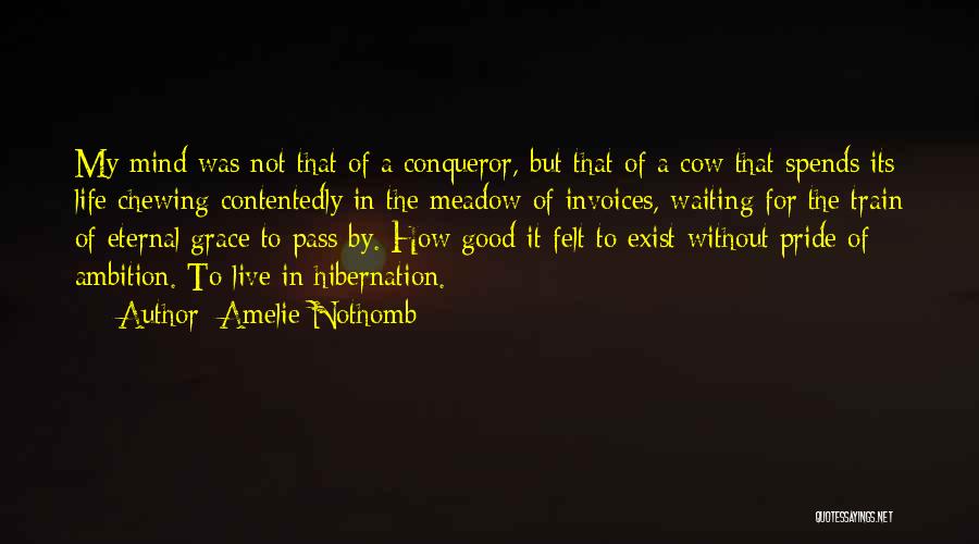 Amelie Nothomb Quotes: My Mind Was Not That Of A Conqueror, But That Of A Cow That Spends Its Life Chewing Contentedly In