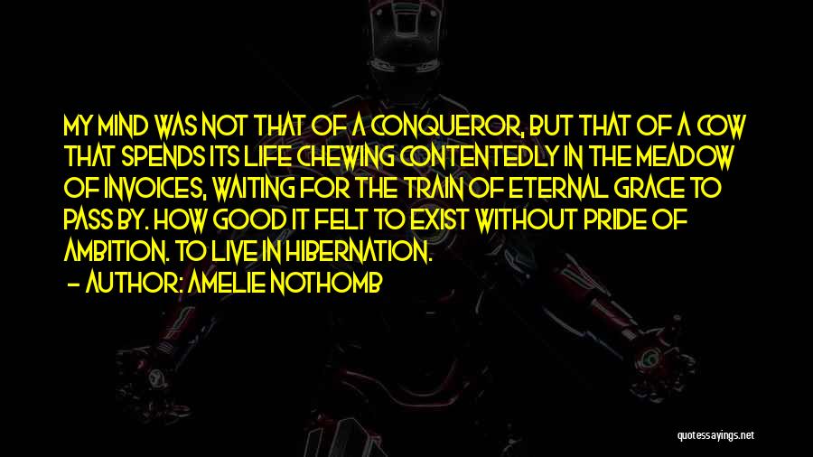 Amelie Nothomb Quotes: My Mind Was Not That Of A Conqueror, But That Of A Cow That Spends Its Life Chewing Contentedly In