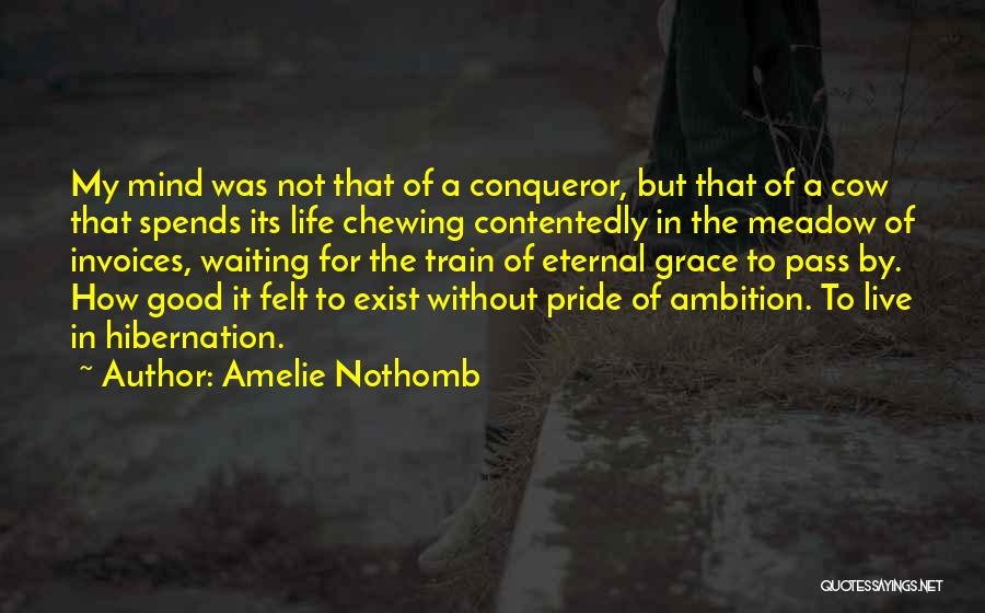 Amelie Nothomb Quotes: My Mind Was Not That Of A Conqueror, But That Of A Cow That Spends Its Life Chewing Contentedly In