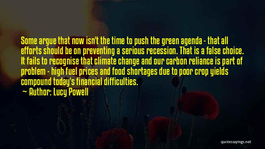 Lucy Powell Quotes: Some Argue That Now Isn't The Time To Push The Green Agenda - That All Efforts Should Be On Preventing