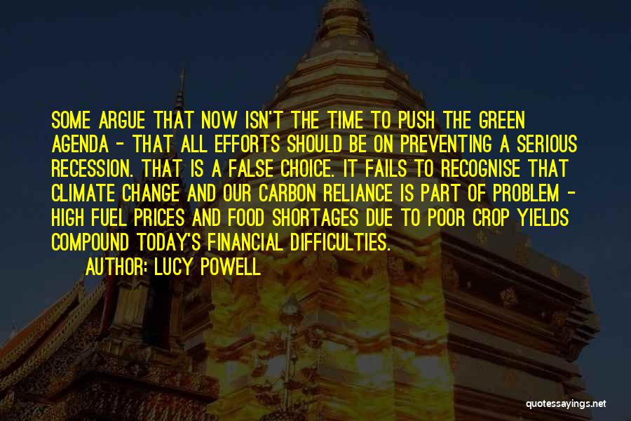 Lucy Powell Quotes: Some Argue That Now Isn't The Time To Push The Green Agenda - That All Efforts Should Be On Preventing