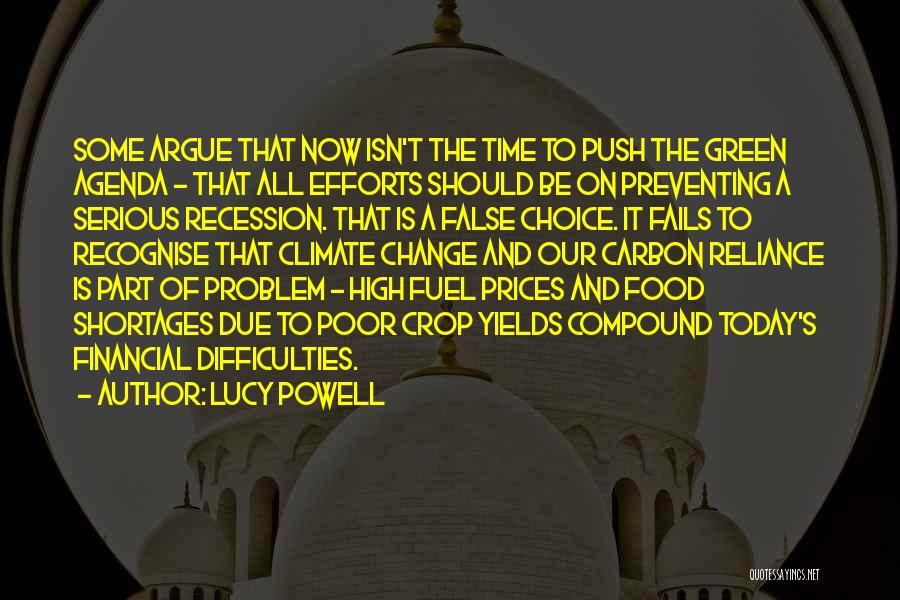 Lucy Powell Quotes: Some Argue That Now Isn't The Time To Push The Green Agenda - That All Efforts Should Be On Preventing