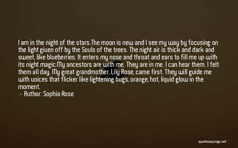 Sophia Rose Quotes: I Am In The Night Of The Stars.the Moon Is New And I See My Way By Focusing On The