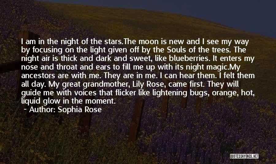 Sophia Rose Quotes: I Am In The Night Of The Stars.the Moon Is New And I See My Way By Focusing On The