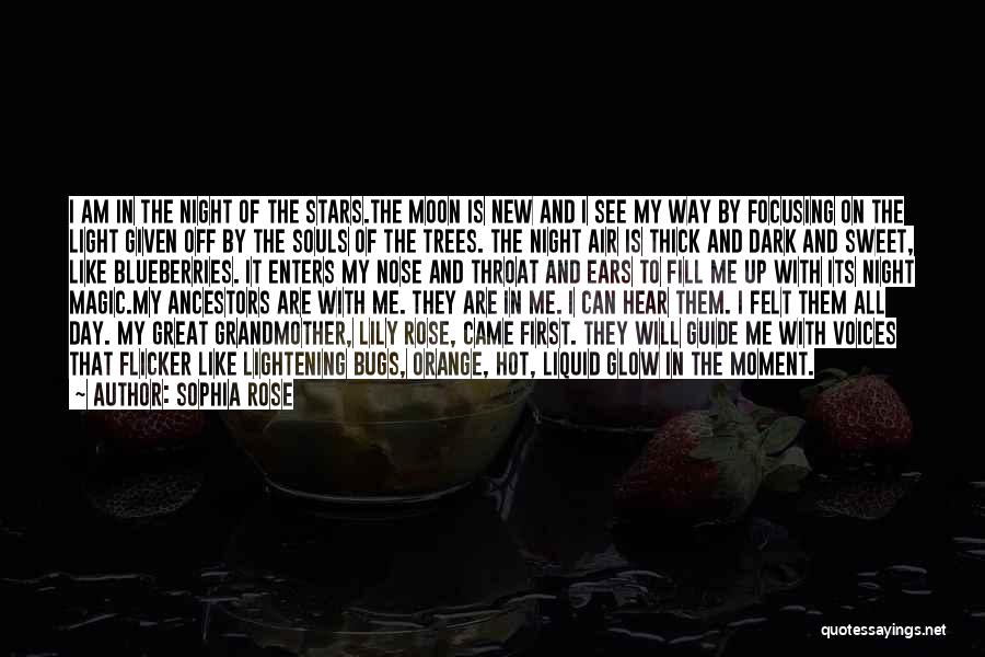 Sophia Rose Quotes: I Am In The Night Of The Stars.the Moon Is New And I See My Way By Focusing On The