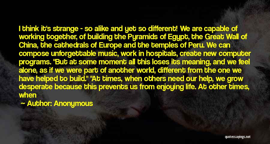 Anonymous Quotes: I Think It's Strange - So Alike And Yet So Different! We Are Capable Of Working Together, Of Building The