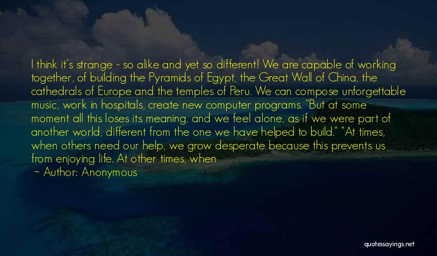 Anonymous Quotes: I Think It's Strange - So Alike And Yet So Different! We Are Capable Of Working Together, Of Building The