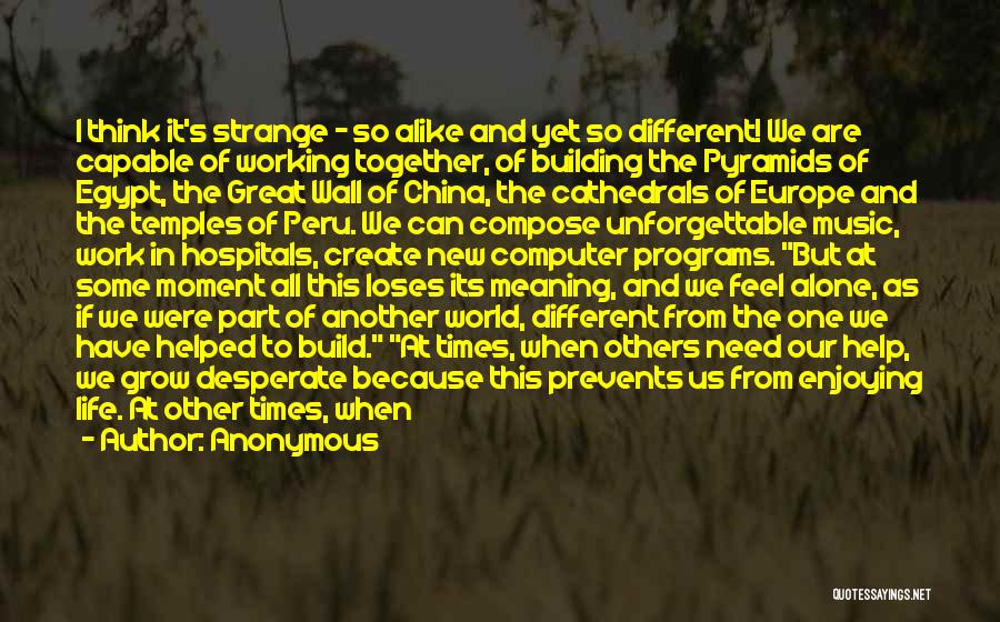 Anonymous Quotes: I Think It's Strange - So Alike And Yet So Different! We Are Capable Of Working Together, Of Building The