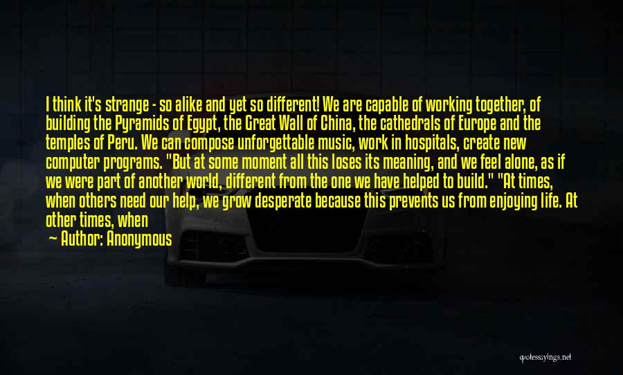 Anonymous Quotes: I Think It's Strange - So Alike And Yet So Different! We Are Capable Of Working Together, Of Building The