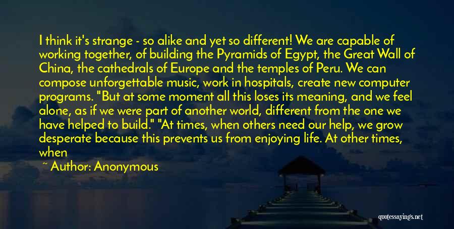 Anonymous Quotes: I Think It's Strange - So Alike And Yet So Different! We Are Capable Of Working Together, Of Building The