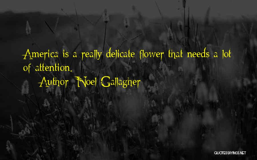 Noel Gallagher Quotes: America Is A Really Delicate Flower That Needs A Lot Of Attention.