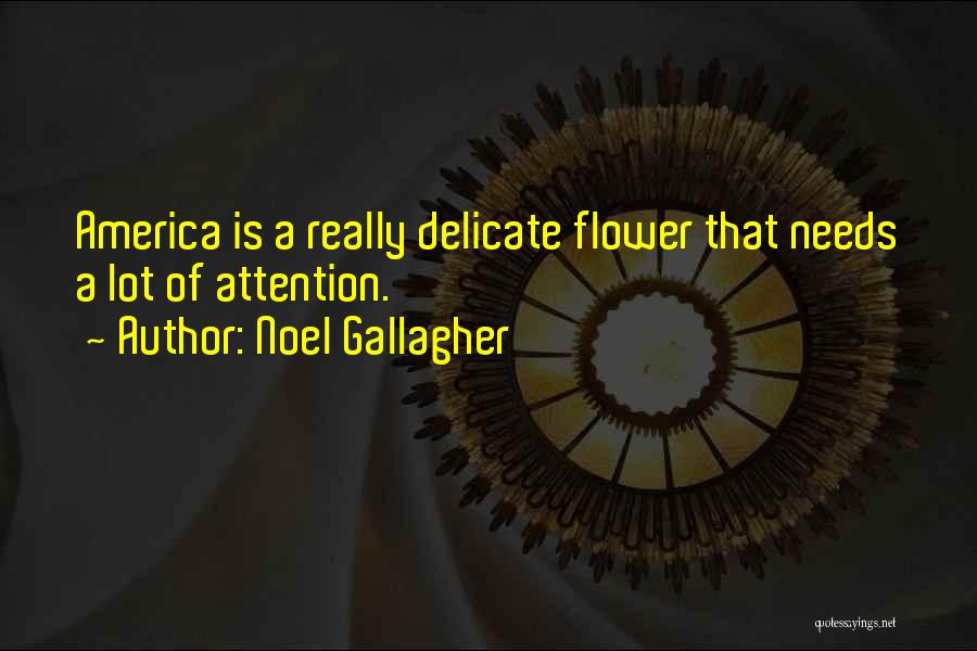 Noel Gallagher Quotes: America Is A Really Delicate Flower That Needs A Lot Of Attention.