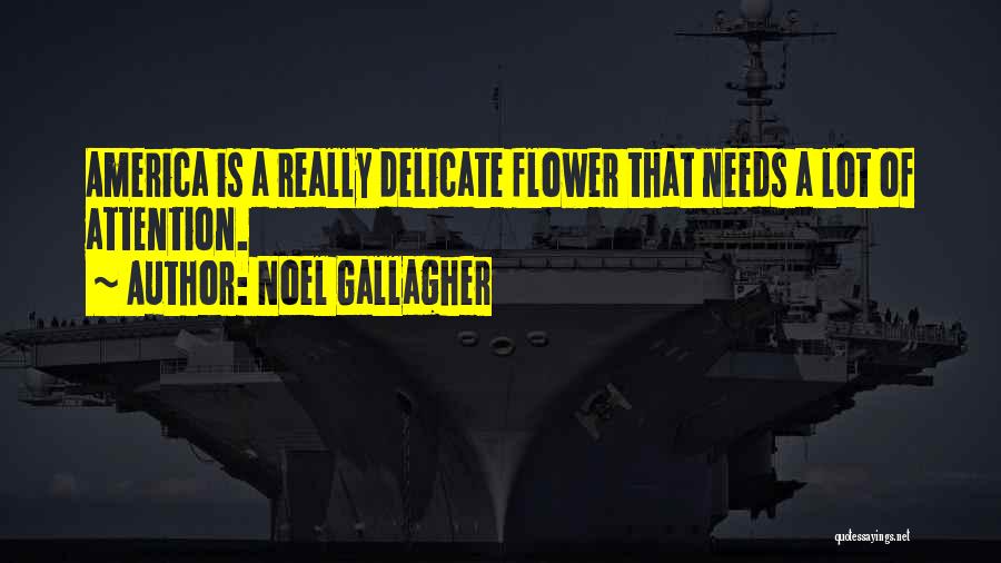 Noel Gallagher Quotes: America Is A Really Delicate Flower That Needs A Lot Of Attention.
