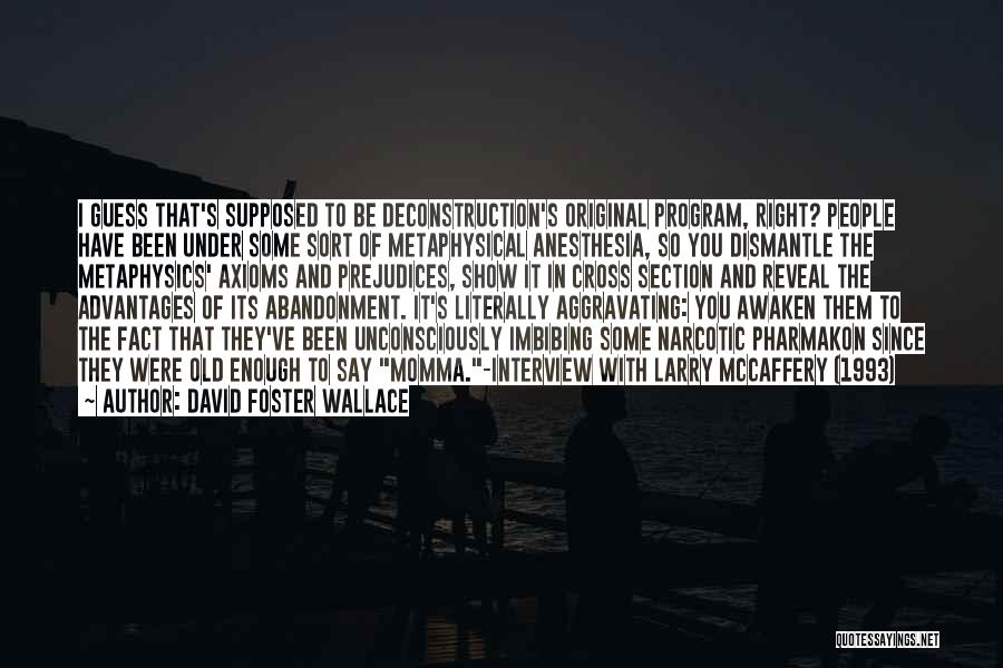1993 Quotes By David Foster Wallace