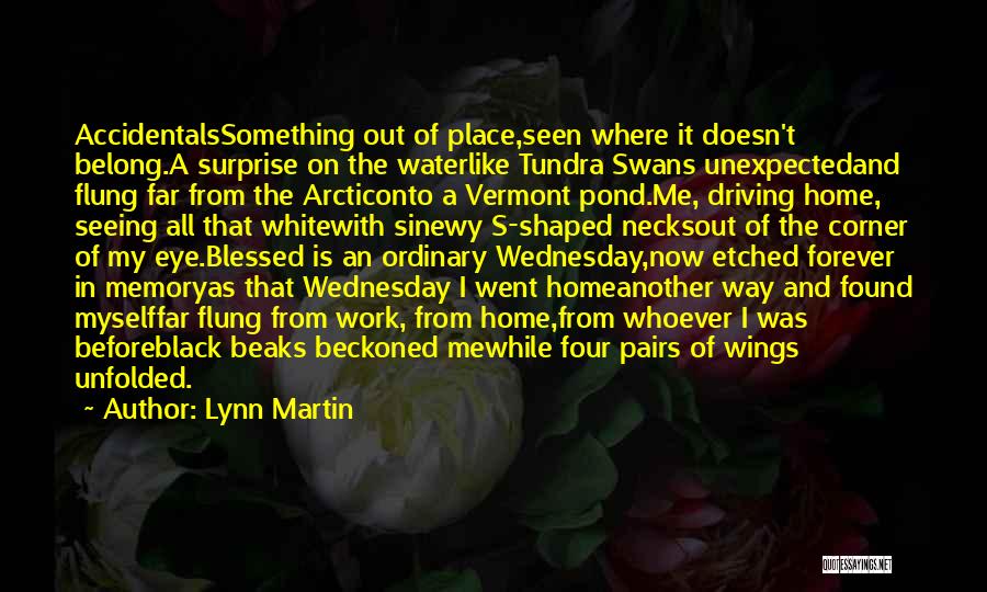 Lynn Martin Quotes: Accidentalssomething Out Of Place,seen Where It Doesn't Belong.a Surprise On The Waterlike Tundra Swans Unexpectedand Flung Far From The Arcticonto