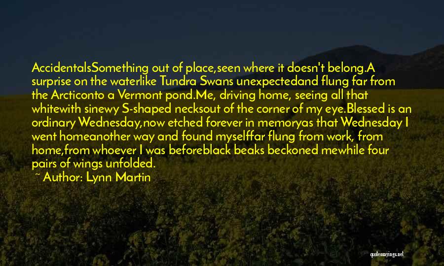 Lynn Martin Quotes: Accidentalssomething Out Of Place,seen Where It Doesn't Belong.a Surprise On The Waterlike Tundra Swans Unexpectedand Flung Far From The Arcticonto