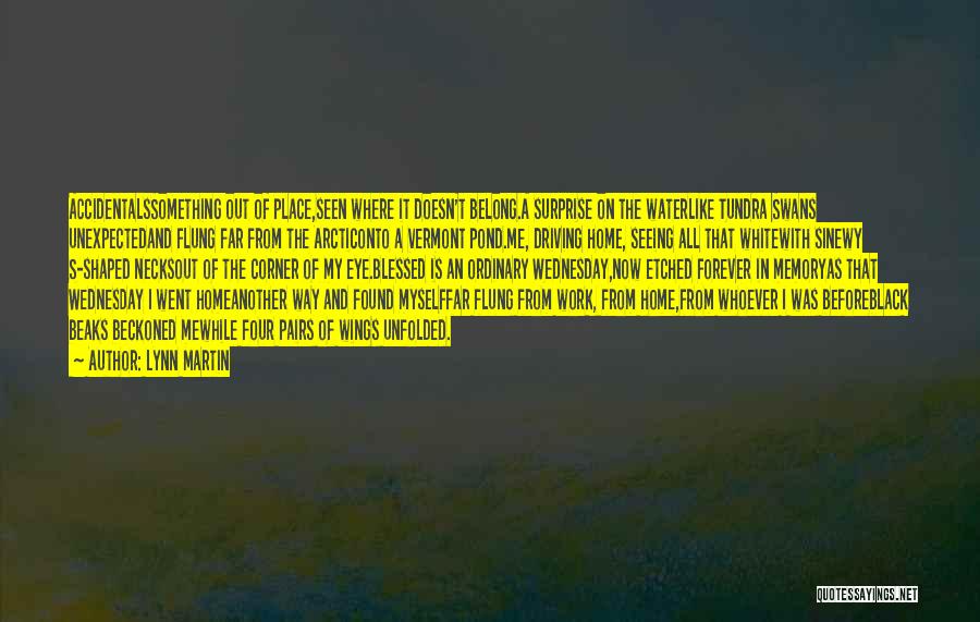 Lynn Martin Quotes: Accidentalssomething Out Of Place,seen Where It Doesn't Belong.a Surprise On The Waterlike Tundra Swans Unexpectedand Flung Far From The Arcticonto